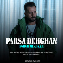 آهنگ جدید پارسا دهقان به نام عشق میکنم